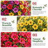 🔥 Last Day Sale Price | Turn Your Garden Into a Colorful Paradise
