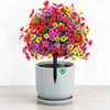 🔥 Last Day Sale Price | Turn Your Garden Into a Colorful Paradise