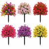 🔥 Last Day Sale Price | Turn Your Garden Into a Colorful Paradise