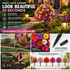 🔥 Last Day Sale Price | Turn Your Garden Into a Colorful Paradise